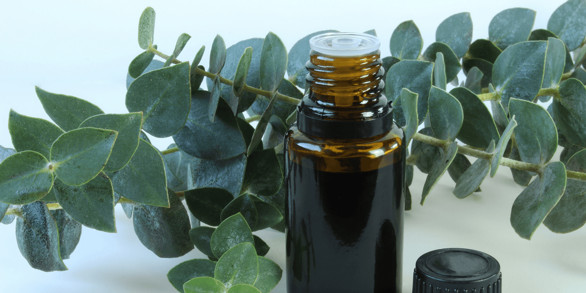 The Danger of Synthetic Fragrance in Skincare and Beauty Products Beauty by Earth