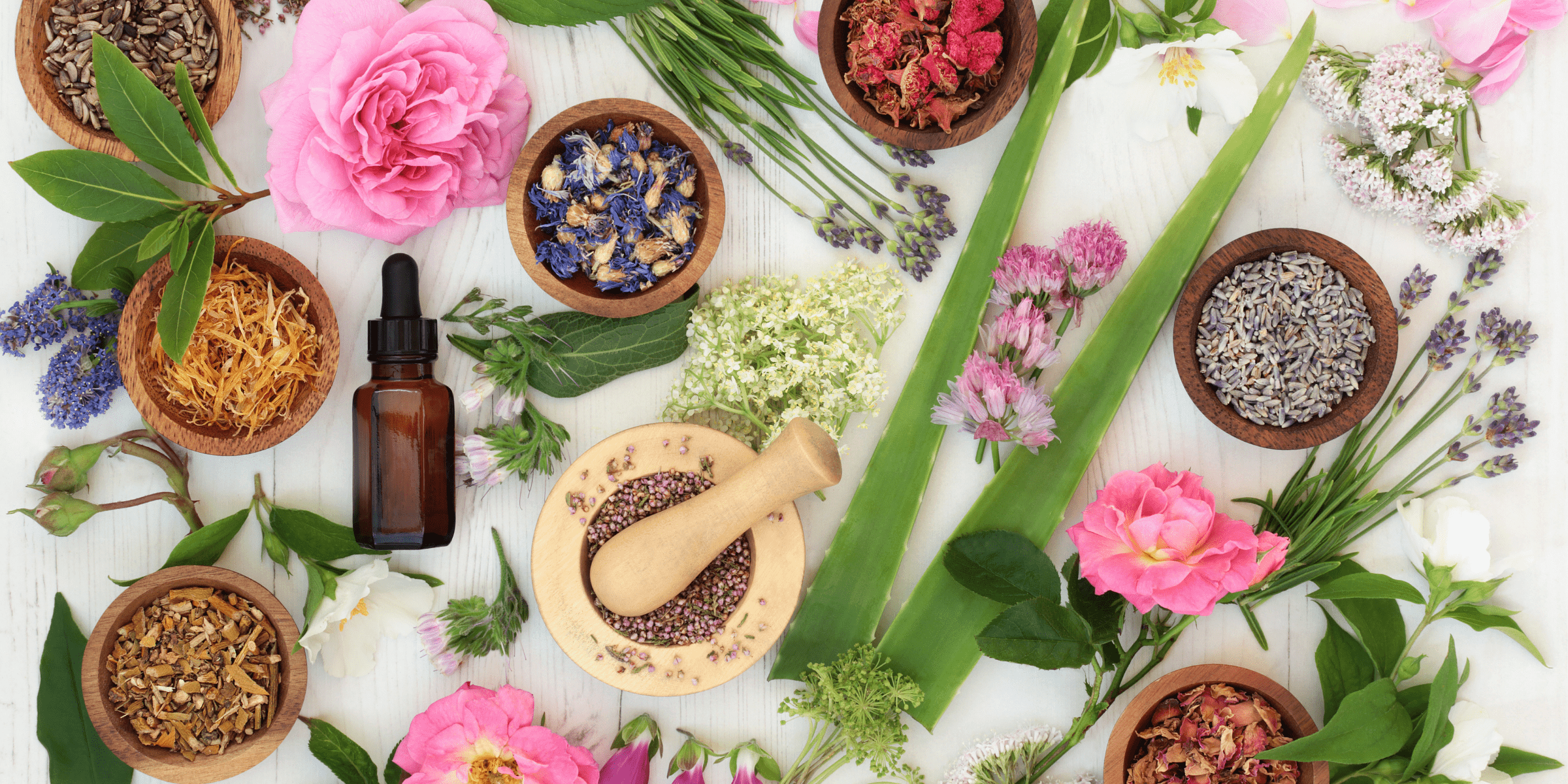 7 Beneficial Herbs for Your Skin – Beauty by Earth