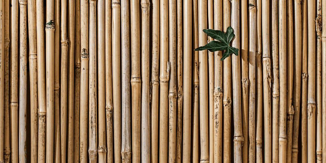 Bamboo Stem Powder Benefits: The Superhero of Skin Care