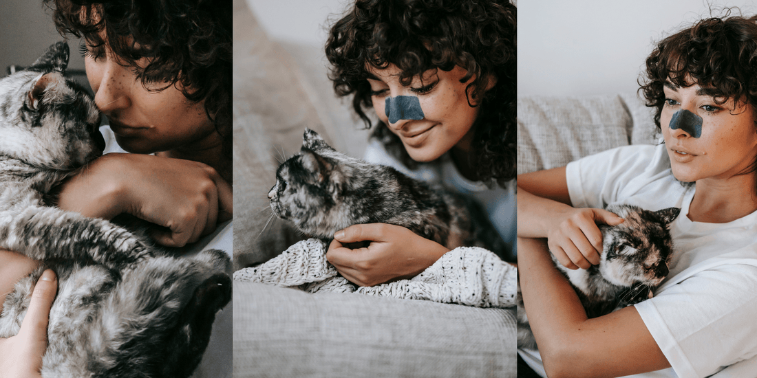 Adopt-A-Cat Month: Meet BBE's Feline Fam