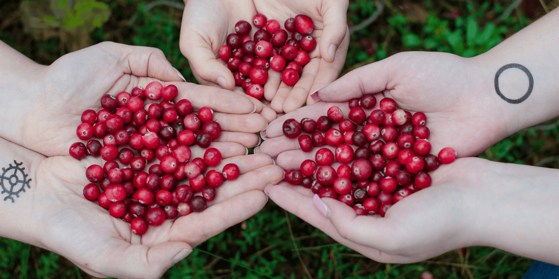 Cranberry Benefits for Skin: All You Need to Know