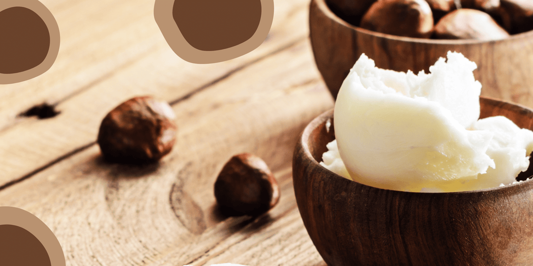 Shea Butter — Benefits and Uses for this Powerful Ingredient!