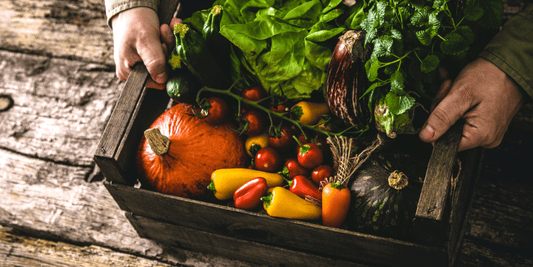 Beginner’s Guide to Farm to Table Living