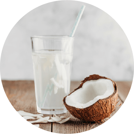 Coconut