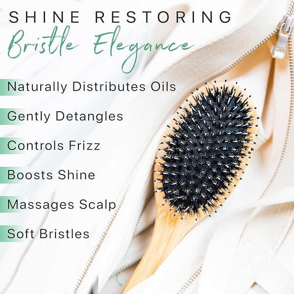 Bristle Basics: Choose the Right Brush and Learn How to Take Care of It