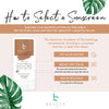 Chestnut tinted sunscreen stick - sunstick - Best mineral sunscreen