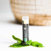 Organic Peppermint Lip Balm - {{variant_title}} - Beauty by Earth